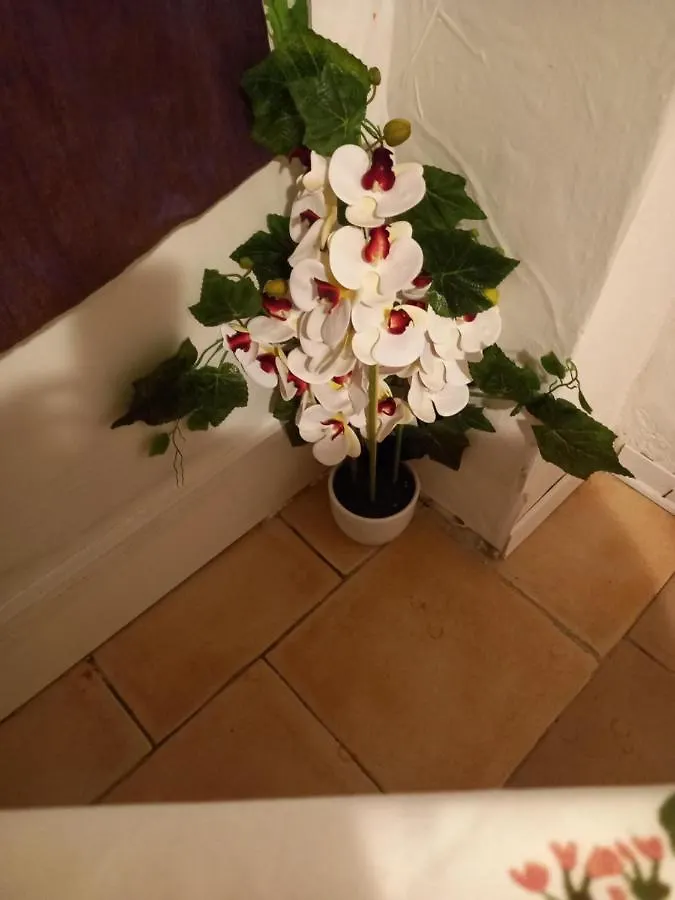 Apartment White Room Fucecchio Italy